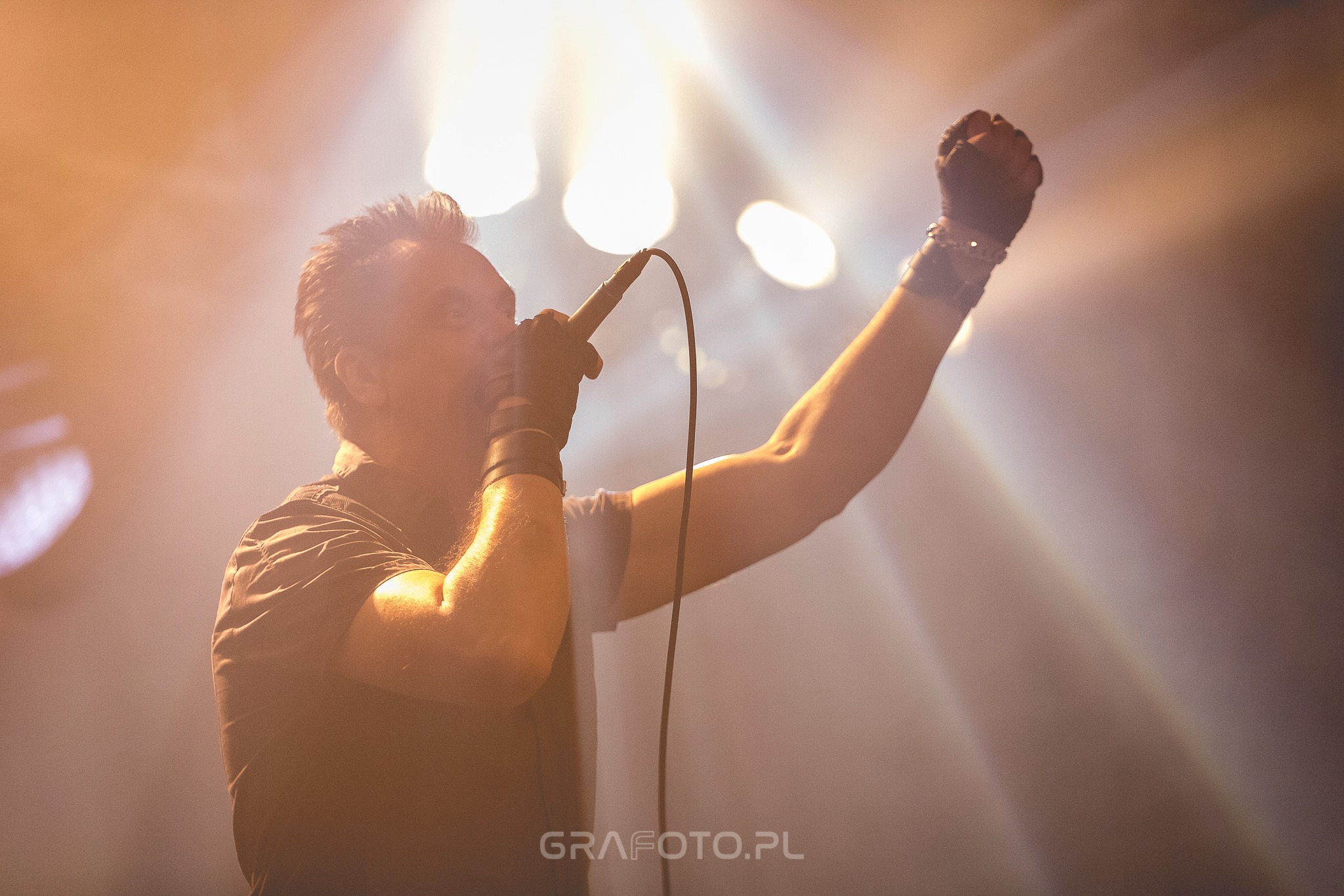 Die Krupps